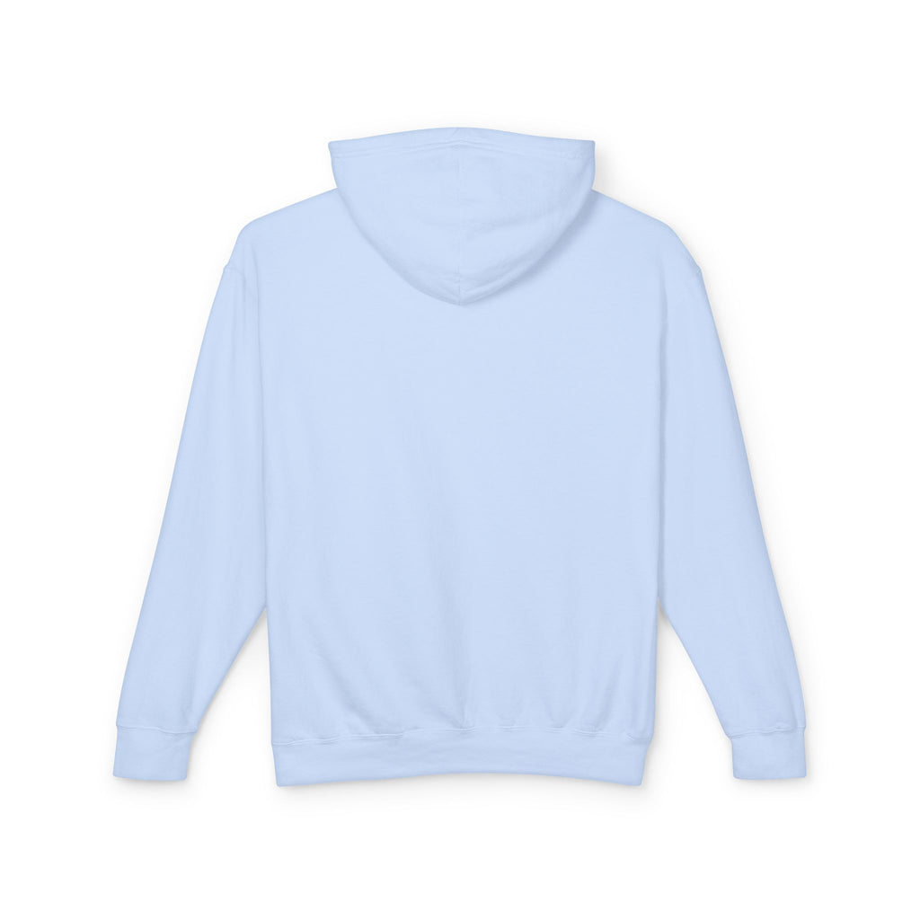 Save the Sea Pandas (Orcas) Fashion Hoodie — Orca Whale Graphic Pullover: Grey